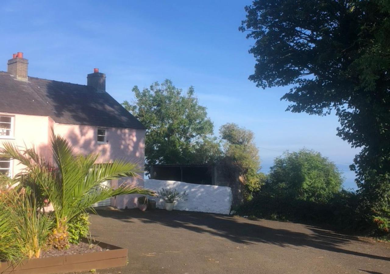The Pink Cottage Upstairs Suite & Garden Summer Room Whitehead Extérieur photo