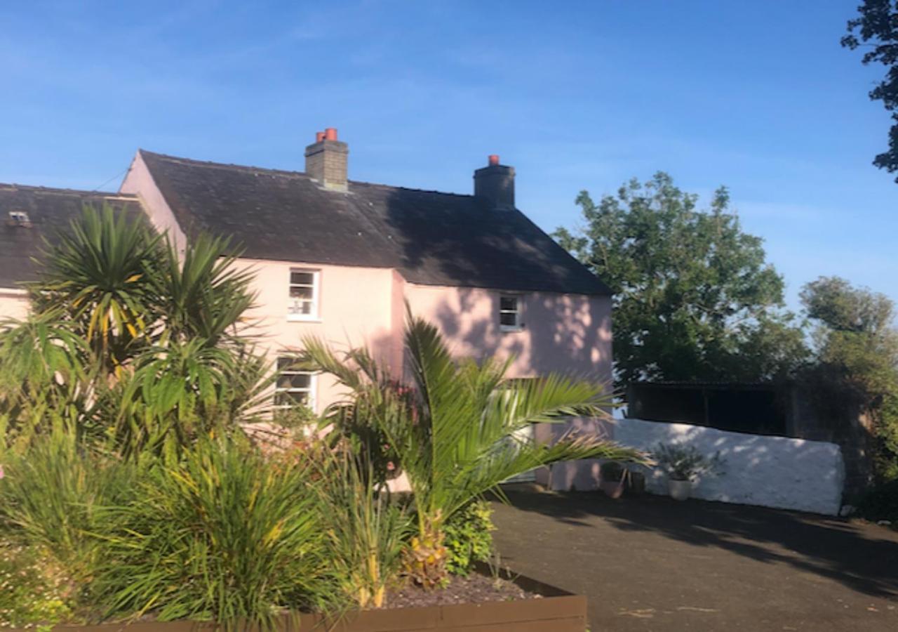 The Pink Cottage Upstairs Suite & Garden Summer Room Whitehead Extérieur photo