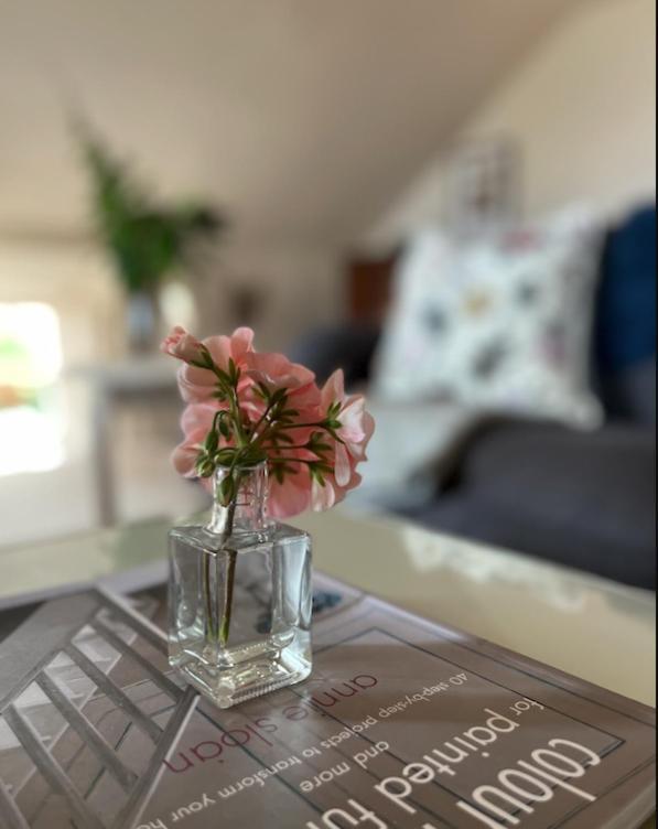The Pink Cottage Upstairs Suite & Garden Summer Room Whitehead Extérieur photo