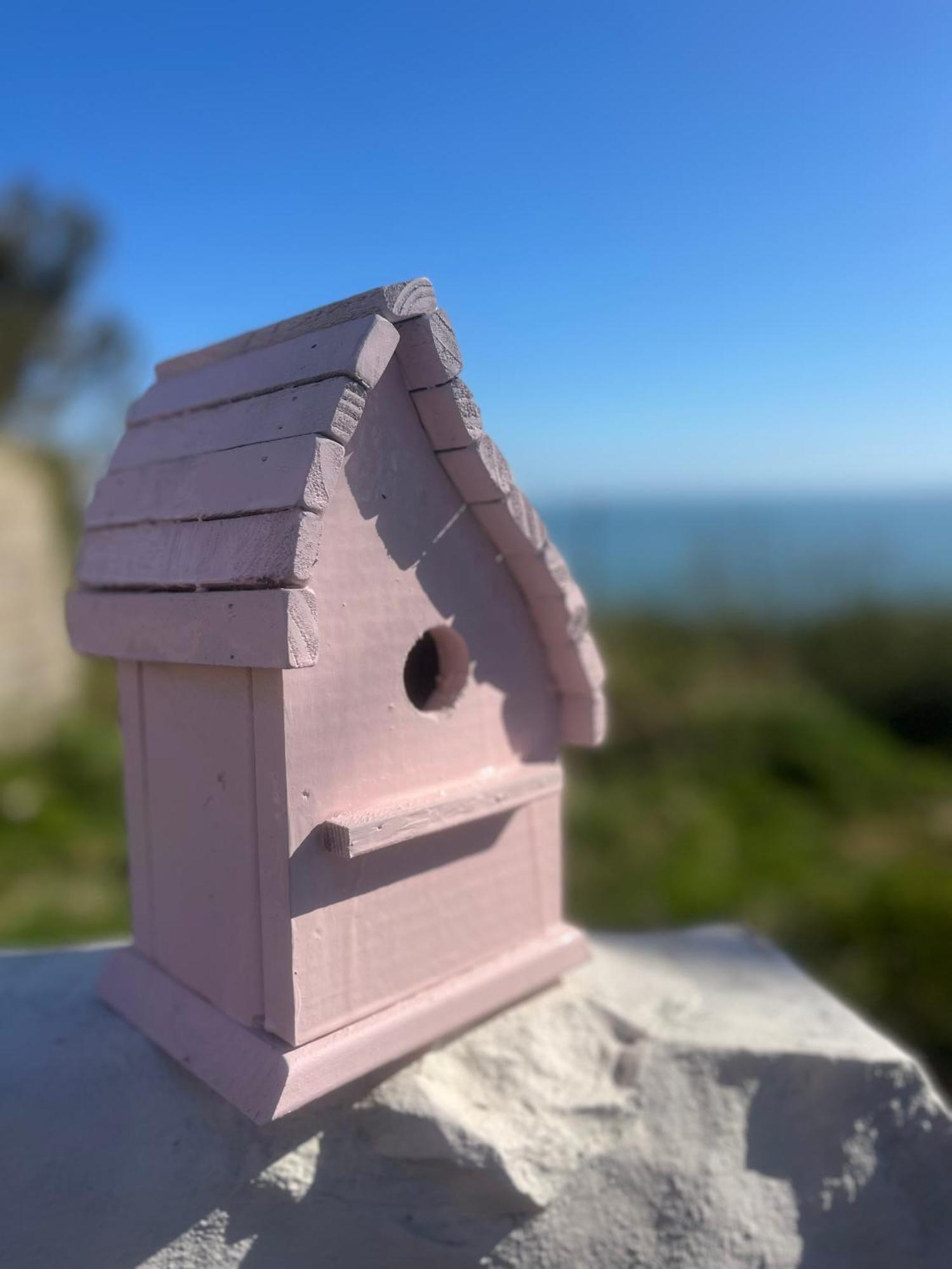 The Pink Cottage Upstairs Suite & Garden Summer Room Whitehead Extérieur photo